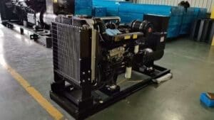 Máy phát điện chính hãng là một yếu tố rất quan trọng trong việc đảm bảo nguồn năng lượng ổn định cho doanh nghiệp